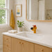 FILER Golden Dog Standard basin faucet centered in a family bathroom