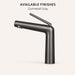 FILER modern basin faucet Gunmetal Gray finish