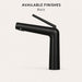 FILER modern basin faucet Black finish