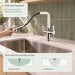 FILER Pull-Out Kitchen Faucet with Optional Filtered-Water Outlet — pull-out function