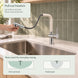 FILER Pull-Out Kitchen Faucet with Optional Filtered-Water Outlet — pull-out function