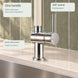 FILER Pull-Out Kitchen Faucet with Optional Filtered-Water Outlet — control detail
