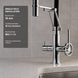 FILER articulated kitchen faucet filtered-water version installation fit