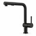 FILER Pull-Out Kitchen Faucet with Optional Filtered-Water Outlet — Standard 2-in-1 / Black — white-background product view
