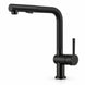 FILER Pull-Out Kitchen Faucet with Optional Filtered-Water Outlet — Standard 2-in-1 / Black — white-background product view