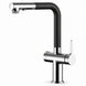 FILER Pull-Out Kitchen Faucet with Optional Filtered-Water Outlet — Upgraded 3-in-1 / Black / Chrome — white-background product view